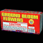 Ground Bloom Flowers - 12 -6 packs