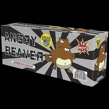 Angry Beaver - 14 shot